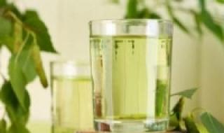 Березовый сок - польза и вред, лечебные свойства и противопоказания