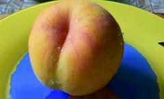 Надо ли чистить персики. Персиковый компот. Пропорции для варенья из персиков